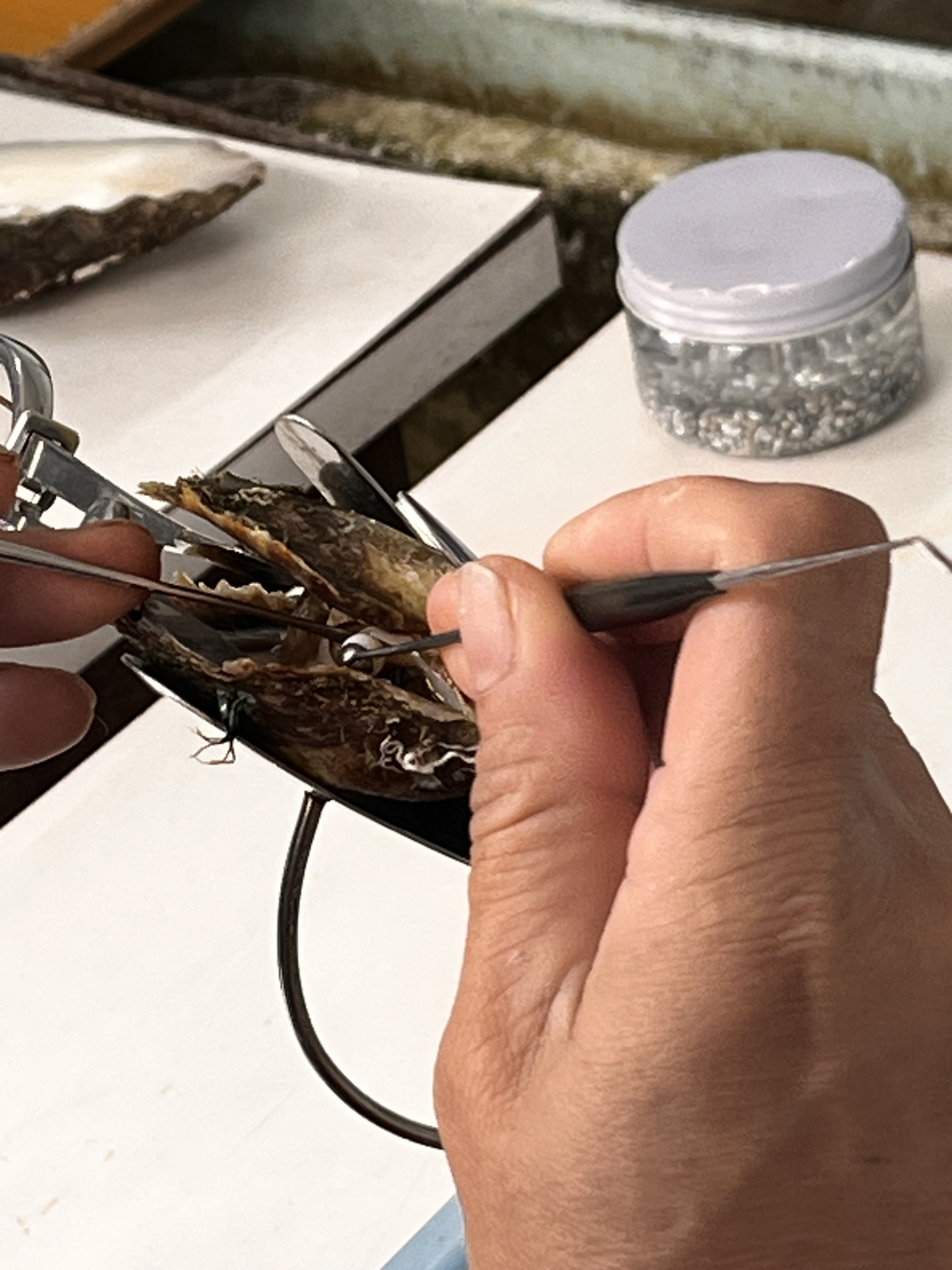 Akoya parel operatie Doi Pearls Laetitia Ruchtie